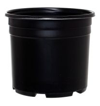 Pro Cal Thermo Pot, Squat, 3 Gallon