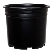 Pro Cal Thermo Pot, Squat, 5 Gallon