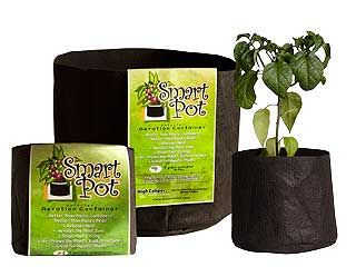 Smart Pot 15 Gallon