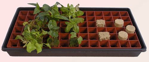 Grodan Gro-Smart Tray, 78-Cell, Terracotta