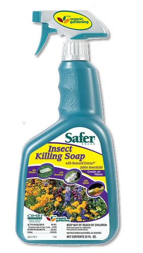 Safer Insect Killing Soap, Quart